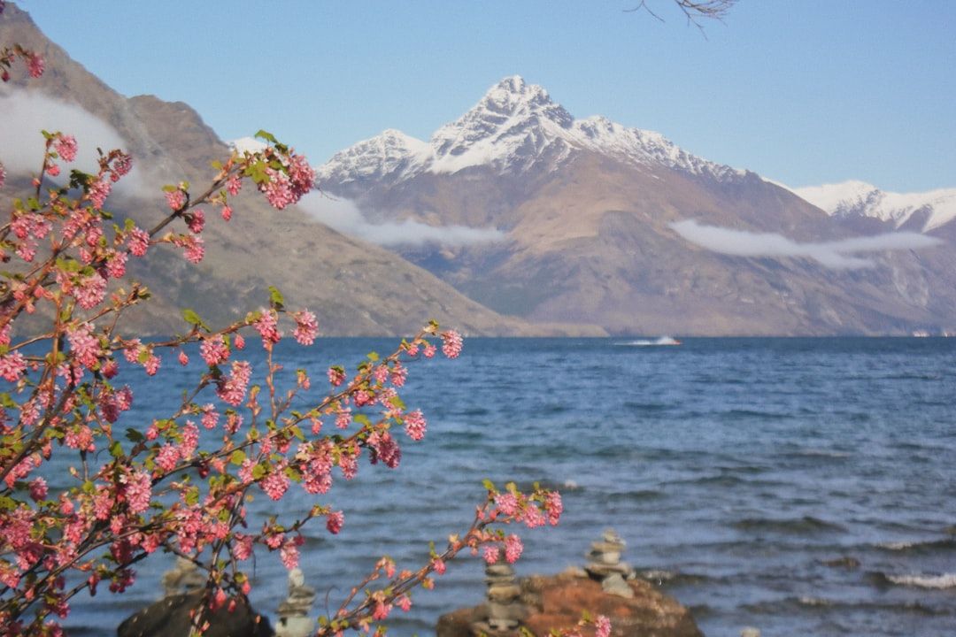 A two-week South Island shape in Queenstown