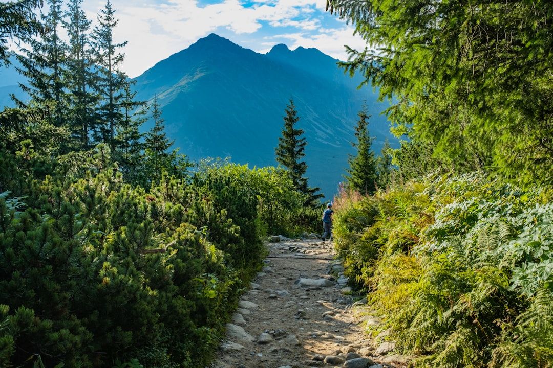 A picturesque mountain trail with striking views.