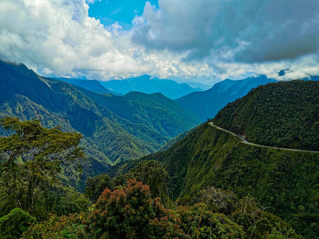 The Yungas in Sucre