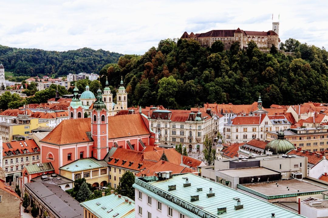 What a relocation actually costs in Ljubljana
